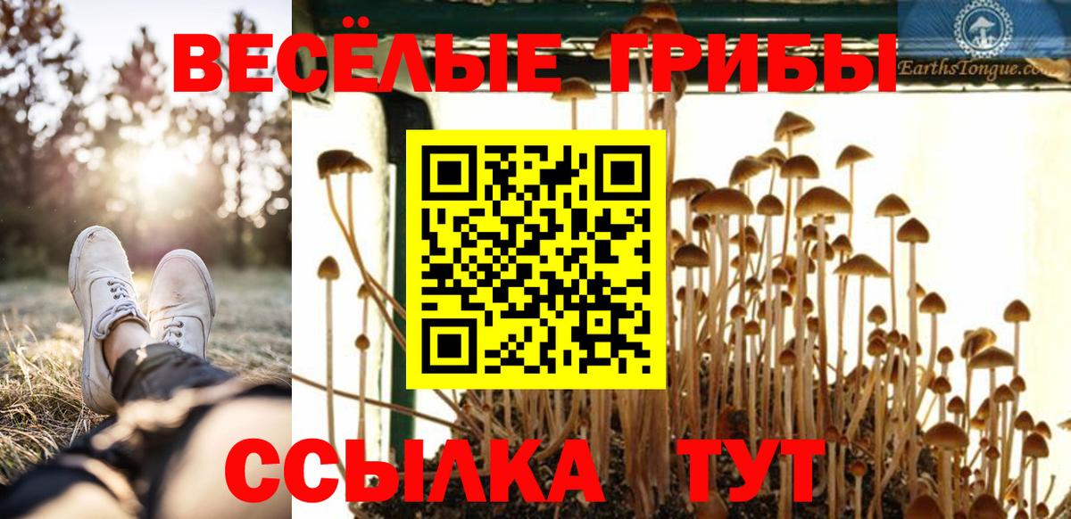 Галлюциногенные грибы Psilocybe Балашиха