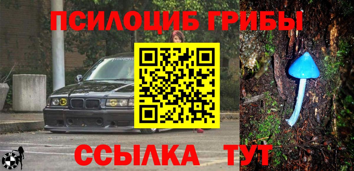 Галлюциногенные грибы прущие грибы  Вход с VPN  Балашиха  Псилоцибиновые грибы GOLDEN TEACHER 